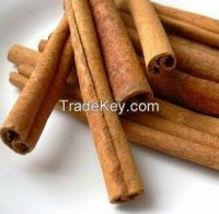 Cinnamon cigar from Vietnam 