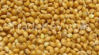 Yellow Millet