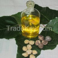 First Grade of Fine and Pure Kukui Nut OIl