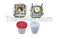 Taizhou customized plastic paint bucket mould with high quality