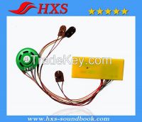 Factory Supplied Children Book Electronic Sound Module