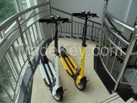 Foldable Electric  Scooter For Adults 36v /250w Self Balance Scooter