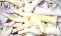 unprocessed /processed chicken feet/turkey feet/paws