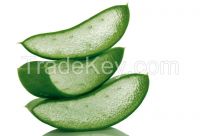 https://ar.tradekey.com/product_view/Aloe-Barbadensis-Spray-Dried-Powder-8038293.html