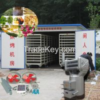 Flowers fruit dryer/drying machine equipment