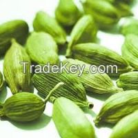 Cardamom