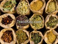 Organic Herbs and Spices