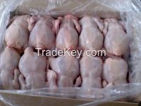 Export of Halal Chicken-broilers and chicken cuts from Ukraine 