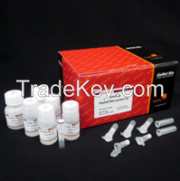 PrimePrep Plasmid DNA Isolation Kit