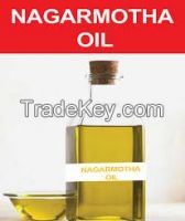 El Dorado Nagarmotha (Cyprus Scariosus) oil