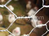 https://ar.tradekey.com/product_view/Chicken-Wire-In-Pakistan-8051639.html