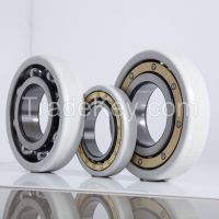 Electrical Insulation Bearing