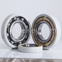 Electric Insulation Bearing