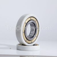 Electric Insulation Bearing