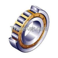 Cylindrical Roller Bearings