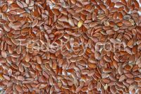 Flaxseeds/linseeds