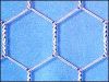 Hexagonal iron wire netting