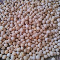 Pigeon peas