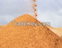 Sawdust for Briquette