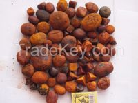 ox-cow-gallstone-250x250.