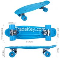 Natural Luminous Two Wheel Skate Board