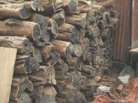 Ebony logs suppliers nigeria