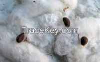 https://ar.tradekey.com/product_view/Cotton-And-Cotton-Seeds-8082655.html