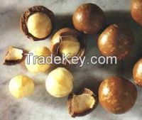 Macademia Nuts Grade A