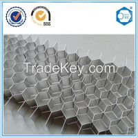 Suzhou Beecore Aluminum honecyomb core for composite door