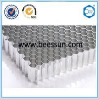 Suzhou Beecore Aluminum honecyomb core for cooling catalyst bed