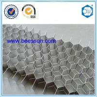 Suzhou Beecore Aluminum honecyomb core for acoustic board