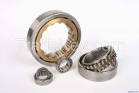 Cylindrical Roller Bearing