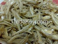 Dried Fish (Ikan Kering) Exported from Bangladesh