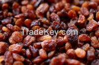 Dried Raisin Fruits