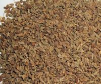 Anise Seeds