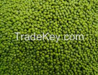 Green Mung Beans