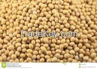 Soybean