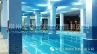 Metal Halide Lamp  E40 250W High Efficiency Metal Halide Lamp Used For Water Park Lighting