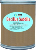 Organic fungicide Bacillus subtilis fermentation200 billion cfu/g TP