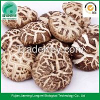 Chinese raw dried shiitake mushrooms prices