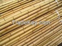 Premium Bamboo raw materials, bamboo poles, rattan, Wood