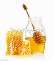 Pure Bulgarian Honey in Bulks