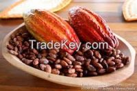 Cocoa Beans and Powder