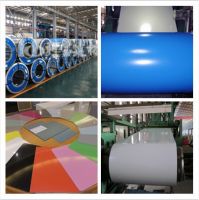 PPGI / PPGL / Prepainted Steel Coil