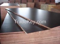 Brown Film Faced Plywood