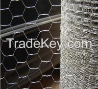 Hexagonal chicken wire mesh netting (Dingzhou factory)