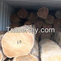 Rough Sawn Teak Timber Logs
