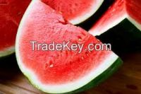 Fresh Watermelon