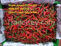 Fresh Chilli From Viet Nam With Best Price And High Quality. 