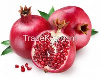 Pomegranate